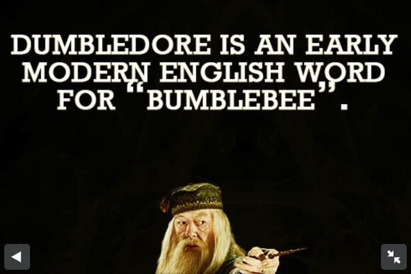 HPQuoteFacts's tweet photo. #Dumbledore http://t.co/ELEbwXiB