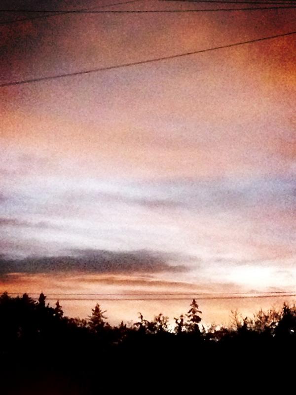 <a href="/EnDondeCorrer/">EnDondeCorrer.com</a> @CorredoresBoske! Por esto corro! En el bosque de Tlalpan!