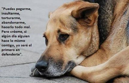 DeboConfesarQue's tweet photo. Esta imagen lo dice todo. http://t.co/ZpRUjT4N