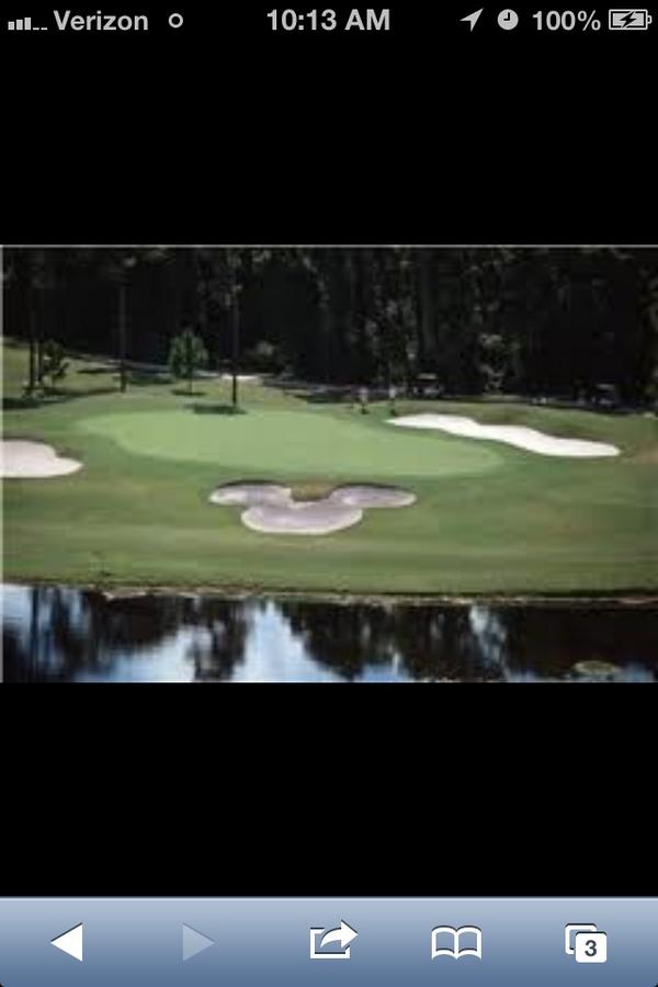 Berta1148's tweet image. Cant wait to tee off at disney magnolia course only 16 days away! #cantwait #goingcrazy #hackersparadise @tdnelson101