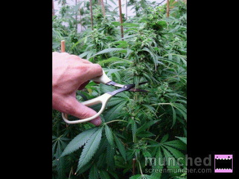 ale_wag's tweet photo. #cut4justin #KILL4bieber come on guy #LOL http://t.co/bfEOsqQC