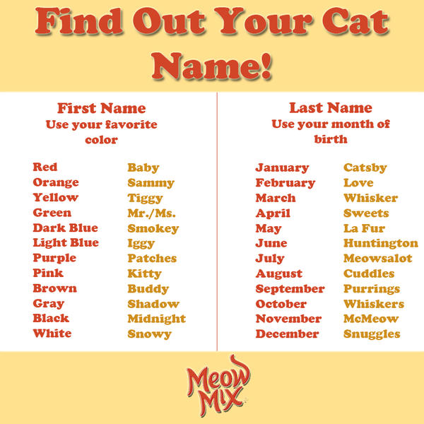 Unique Male Cat Names - petfinder