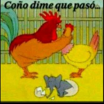 yoel Santana (@santanayoel) on Twitter photo 