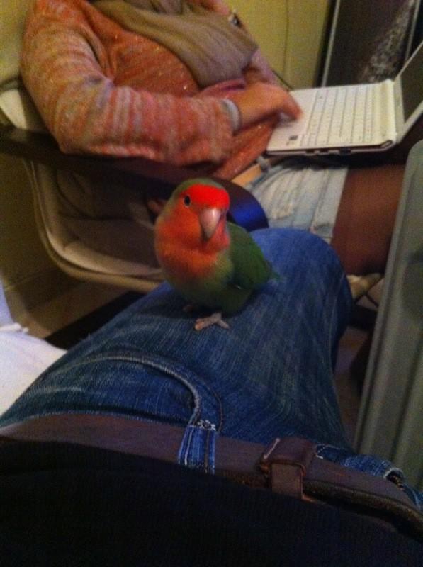 enkarnit's tweet photo. Gracias cariño :D #Gagb http://t.co/ah2wXPkw
