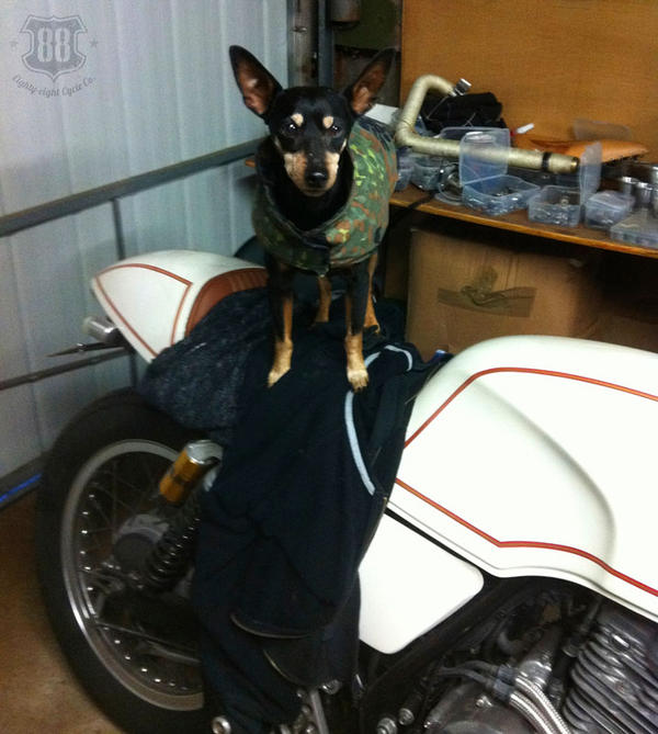 88CycleCo's tweet photo. What's with #melbourneweather? Bring out the Gimp's layers @88CycleCo #lifeontwowheels http://t.co/PRKDoKaE