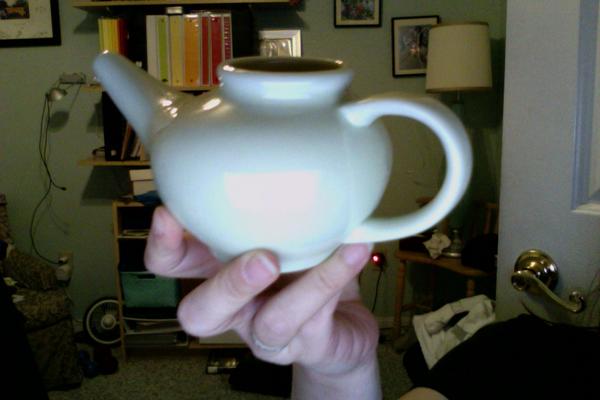 Brother sent me a neti pot to replaced the one I lent him.