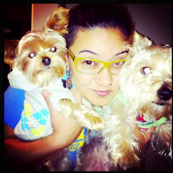 laluce8's tweet photo. My Yorkies and I .... Gotta Love  them ... Almost 5, this year .... http://t.co/iEMNwBeT
