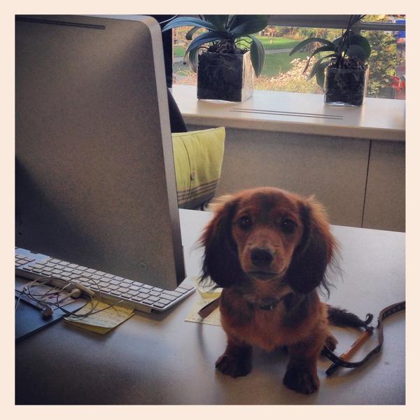 TatlerAlan's tweet photo. @SMS_Style I am ready and raring to go but Mum has a 'lunch date' RIDIC #disowned http://t.co/De7qS1Zu