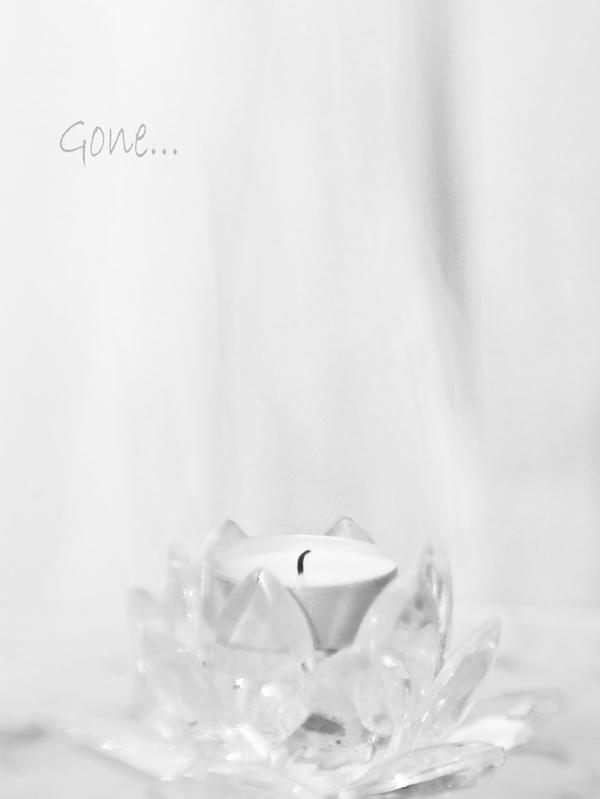 WandaAbbing's tweet photo. Gone... Someone we know has passed  #rip #photography http://t.co/2gXdt4yQ