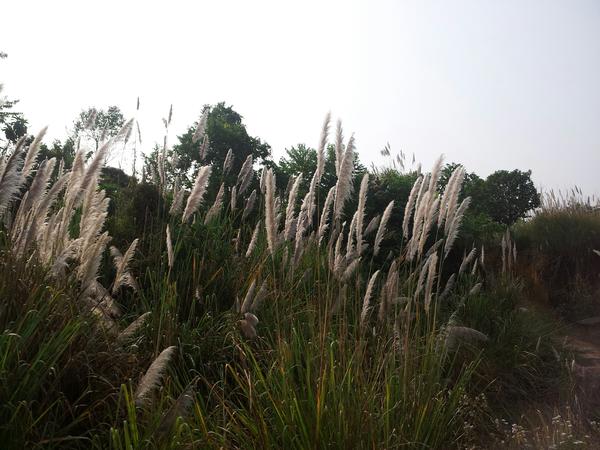 das2tech's tweet image. Happy New Year 2013