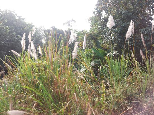 das2tech's tweet image. 