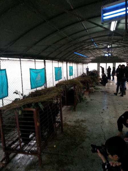 AnimalsAsia's tweet photo. Sun setting on our sanctuary in China following the #newyearrescue. For these bears a new life starts tomorrow: http://t.co/JlmR4wiD