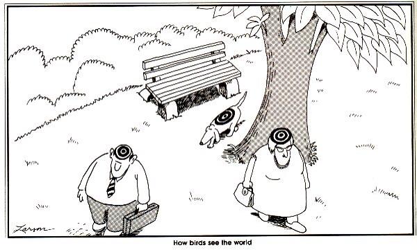 FarSideDaily's tweet photo. http://t.co/2tk1nqoS