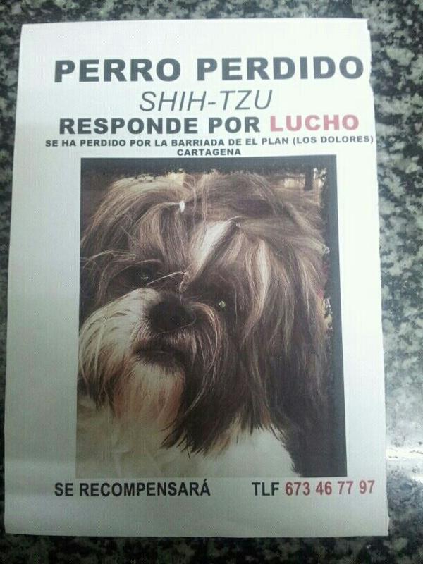 luchoperdido's tweet photo. Seguimos sin noticias de Lucho. Muchas gracias a todos los que nos ayudais http://t.co/01iqVPiX