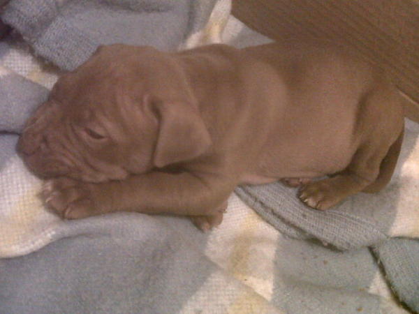 Sikhona Kolele tweet media