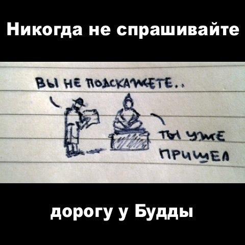 Kate_Avomer's tweet image. )))))))