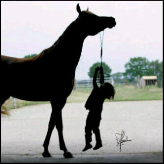 ArabsPicture's tweet photo. http://t.co/LIjDa3mW