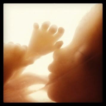 scottwilder's tweet photo. 333,964 murders by Planned Parenthood in 2011...with your money. 1 every 94 seconds. #shame http://t.co/kUQQjadR