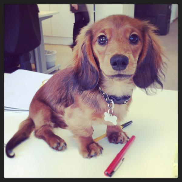 TatlerAlan's tweet photo. Post It note?! What Post It note? NO idea what you're referring to..... #YUM #OMGTHATPOSTITNOTEWASDELISH http://t.co/B5LmQ2v6