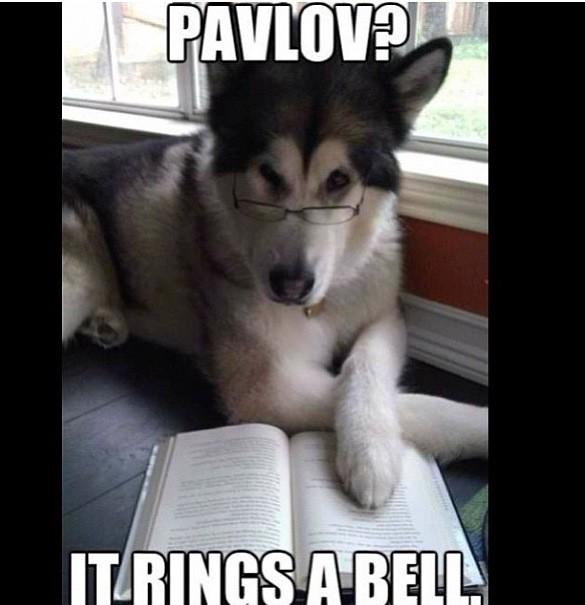 aIexmcabre's tweet image. Psychology humour. Classic. #classicalconditioning #help