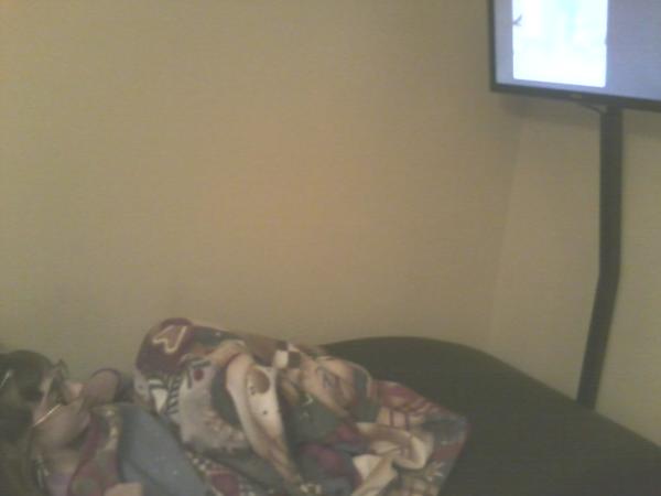 AutismWarriorNY's tweet image. Session 47 part 2 #Braincore movie time