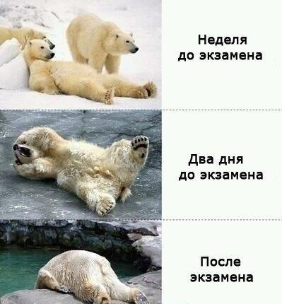 crazy_kutas's tweet photo. Жизненно. http://t.co/mxVhSSu0