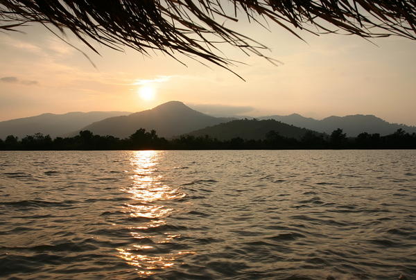 kampotpepperUK's tweet photo. Kampot Cambodia - home of probably the best pepper in the world. http://t.co/ixsuRlzA