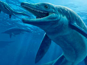 HayQueSaberlo's tweet image. Hallaron en el desierto de Nevada (EE.UU.) restos de un animal marino del Triásico que devoraba presas de su tamaño.