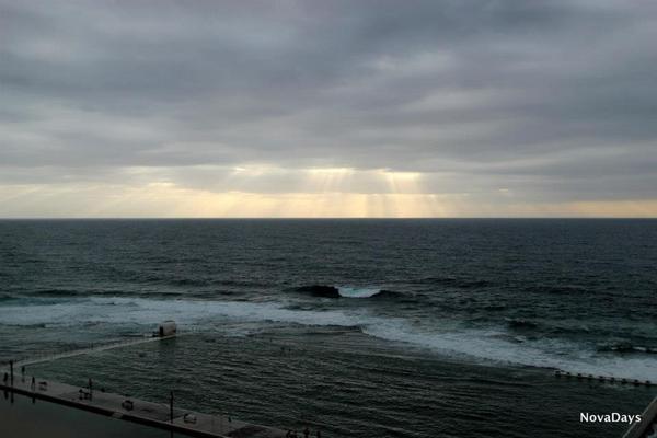 Nova Days tweet media