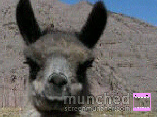 SoloConfundidas's tweet photo. Ola k ase? Leshendo mi' tuits o k ase? http://t.co/p3f5Z4ZM