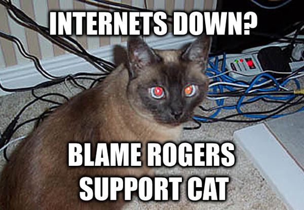 Image result for internets down
