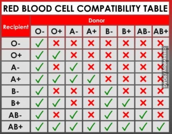 معلومات هامة عن فصائل الدم منتديات الكنيسة