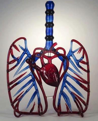 lindenanigans's tweet photo. @Nurse_Paige: #medical #marijuana http://t.co/5SzbG2q5 #lindenology