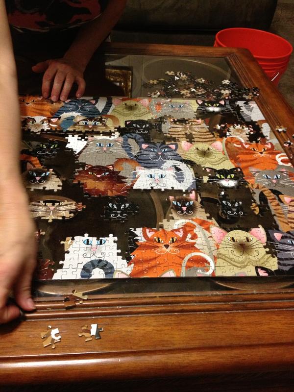 Apemo's tweet photo. U would be correct if u asked "Do u wish u could've gone 2 the @justinbieber concert?"I did a cat puzzle@my moms. #ohno http://t.co/7PTwuHP1
