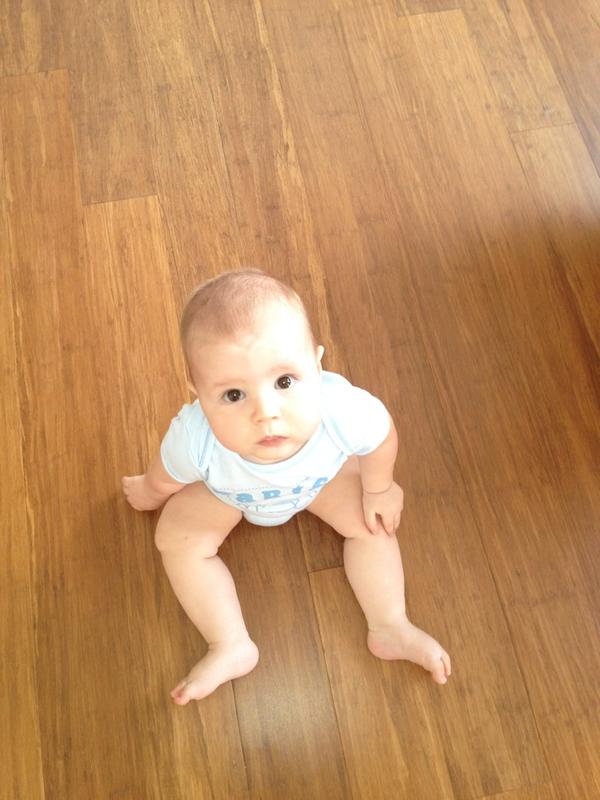 dylan joubert tweet media