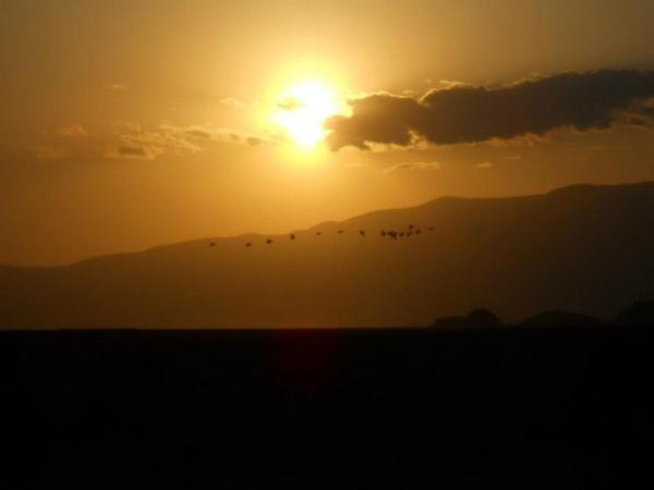 WExpeditions's tweet photo. #photography of sunrise and flying storks over Galei Bomba mountain at Lake Natron, Tanzania, Africa http://t.co/OaOCVxzn