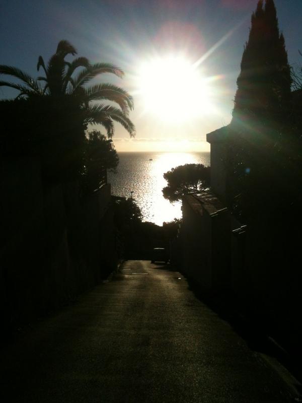 louisaceccaldi's tweet photo. Memory from a sweet afternoon ... #sunny #street #Marseille #palmer #sunday #sea #shelter #nest #happiness http://t.co/3ST298an