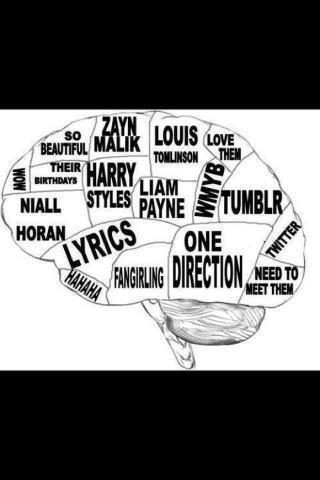 NomNomLirry's tweet photo. This is the directioner's brain.... http://t.co/eyZvkkpQ