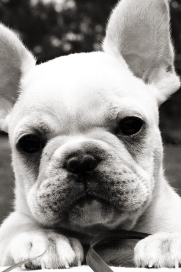 HermioneRussell's tweet photo. http://t.co/DGtWQqyW