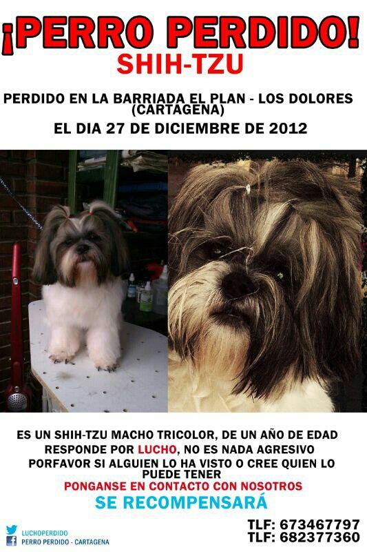 luchoperdido's tweet photo. AYUDENOS PORFAVOR RT RT RT!!!! http://t.co/TCRRWpub