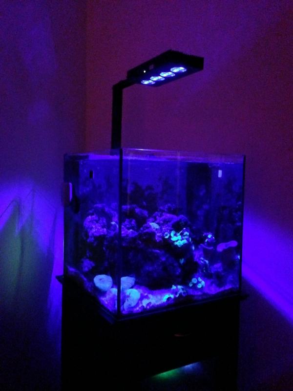 thethornsberrys's tweet photo. @AquaIllum AI Vega Color Black, Controller and EXT Rail / Tank Mount http://t.co/eKoOiaIm