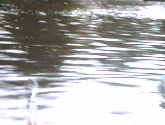 BOLETIMTECNICO's tweet photo. Inundacoes recorrentes podem danificar a estrutura do subsolo, fundacoes, etc. A solucao, consulte nosso depto tecnico http://t.co/HhCcSMvI
