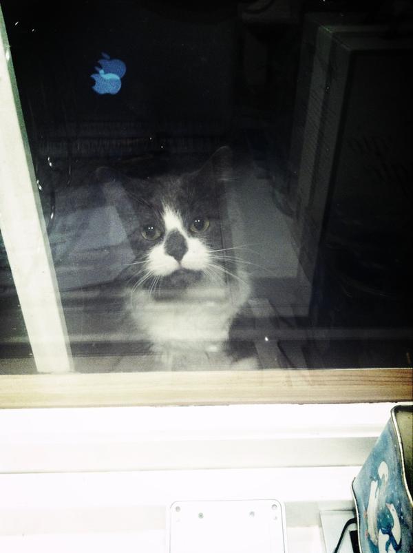 AaseKarlsen's tweet photo. Ei som ikke vil være ute om natta http://t.co/ZnQBYJYk
