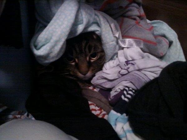 Rugby_Tiger's tweet photo. Maybe now someone will wash me... http://t.co/uciRSAD9