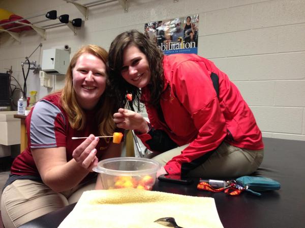 amolsiewicz's tweet image. SAT life. Q-tips as forks. #wiseuseofresources #yum