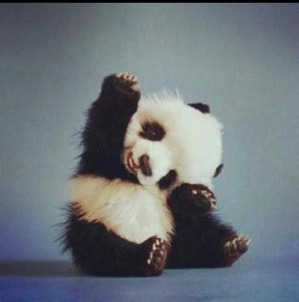 Babyjaypierre's tweet photo. Obsessed http://t.co/1Wz1Fhgz