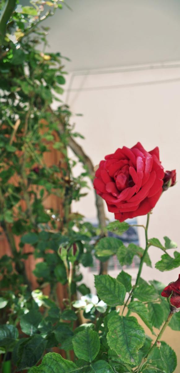 NikkiBlackBird's tweet photo. Sometimes Love Is Not Enough And The Road Gets Tough 
I Don't Know Why ∞ http://t.co/cxXUKWgM