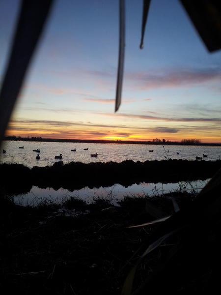 Blakesleezy's tweet image. Another beautiful sunrise at the ole duckpit! @henkiller1 #easymoneyfarms #wacknstack