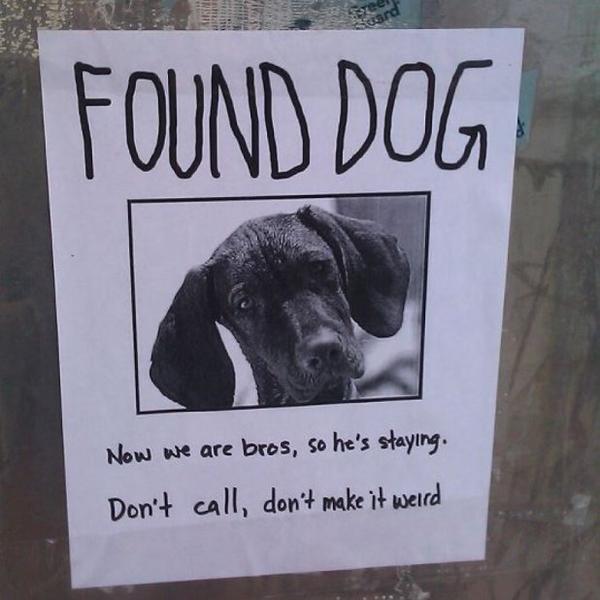 innocent's tweet photo. Dog found (via punkmonksteve on tumblr) http://t.co/NMRcXh7v