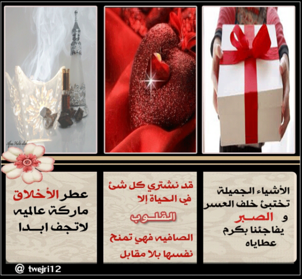 تويتات دين ودنيا♡ tweet media